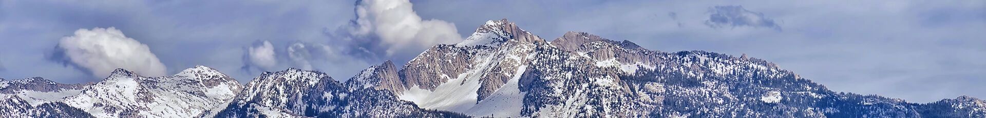 American Fork Junk Removal