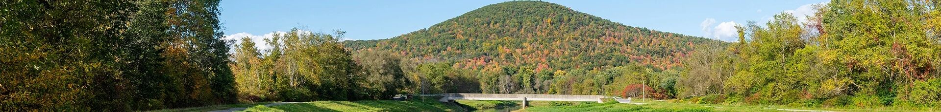 Palmerton Junk Removal