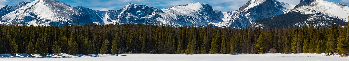 Telluride Junk Removal