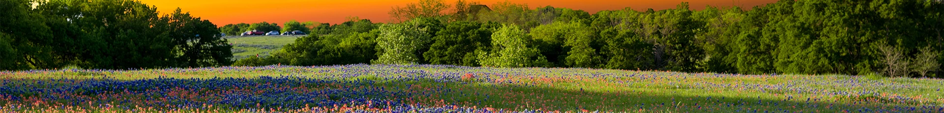 McKinney Acres Junk Removal