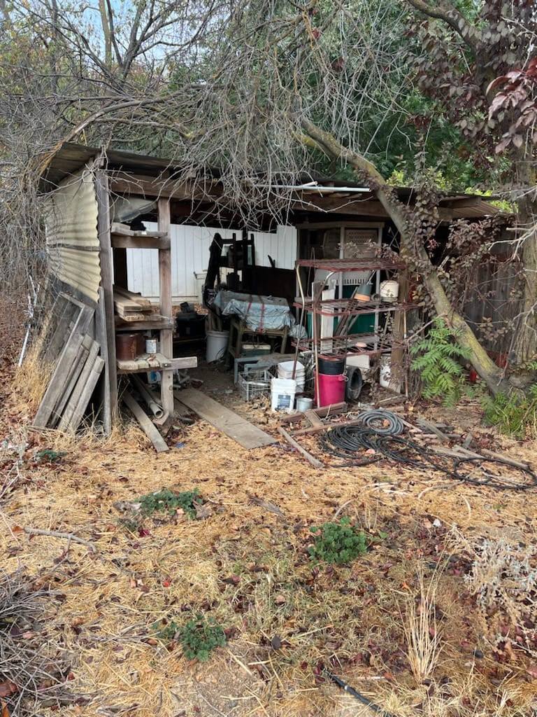 An old, cluttered shed with overgrown vegetation and discarded items, ready for removal by Pro Junk Dispatch.
