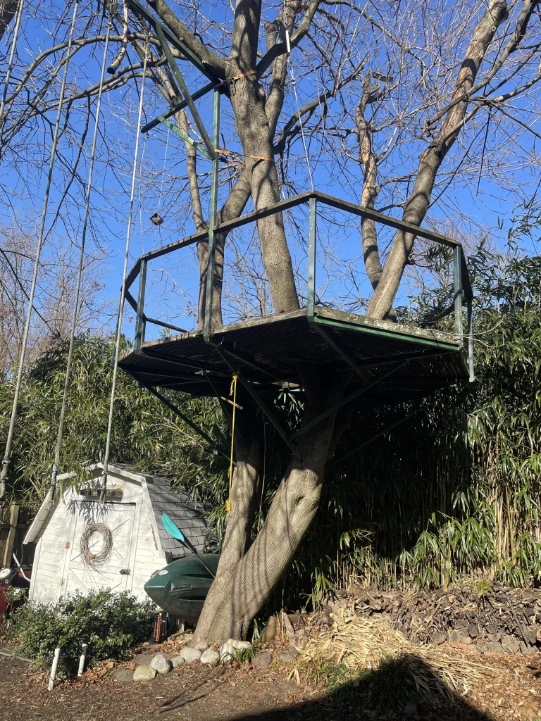 Professional removal of an old wooden treehouse or backyard playset by Pro Junk Dispatch