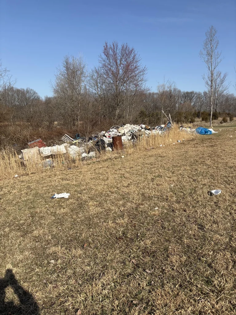 Pro Junk Dispatch team clearing overgrown brush, debris, and junk during an outdoor property cleanup.
